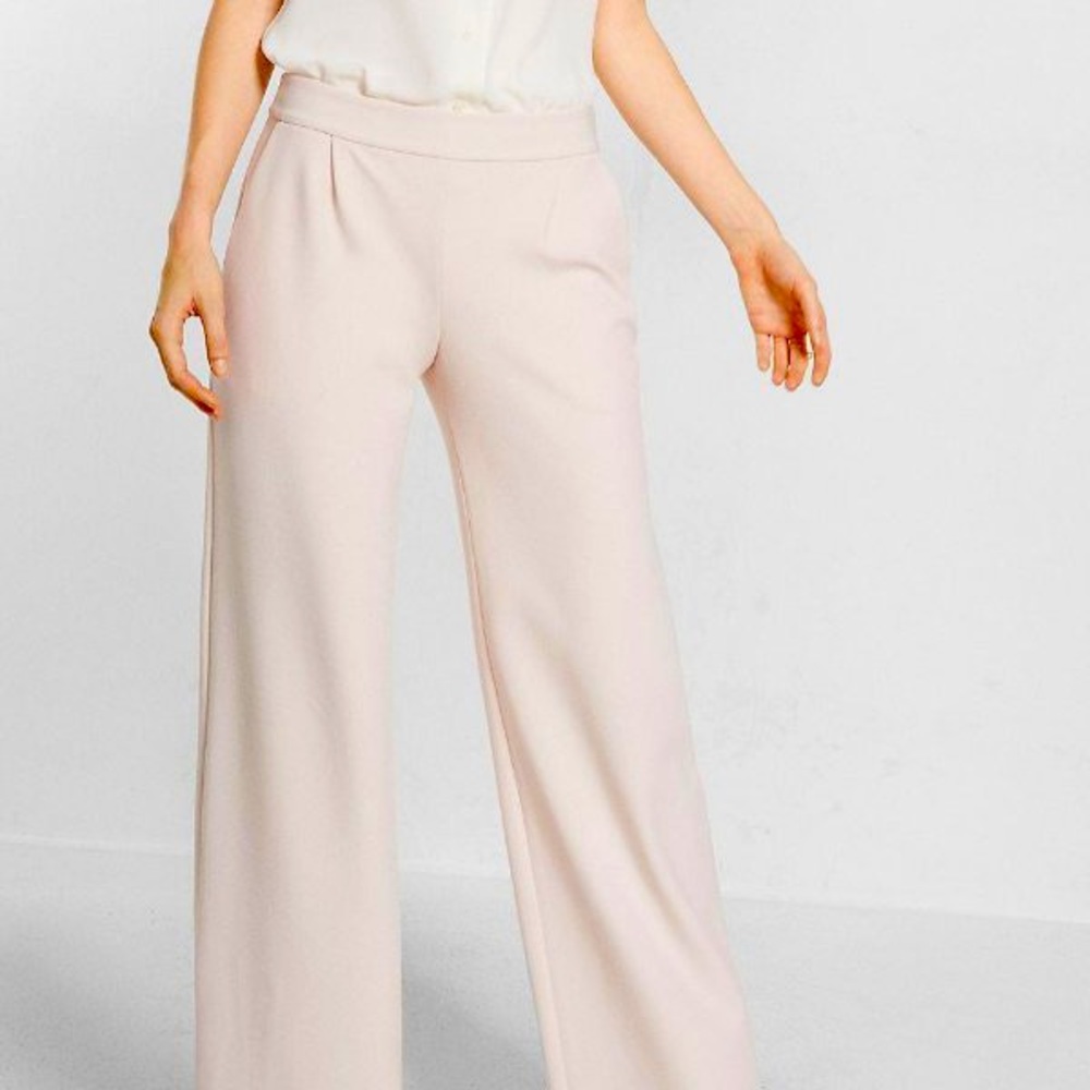NWT Blush Pink Express Wide Leg Pant